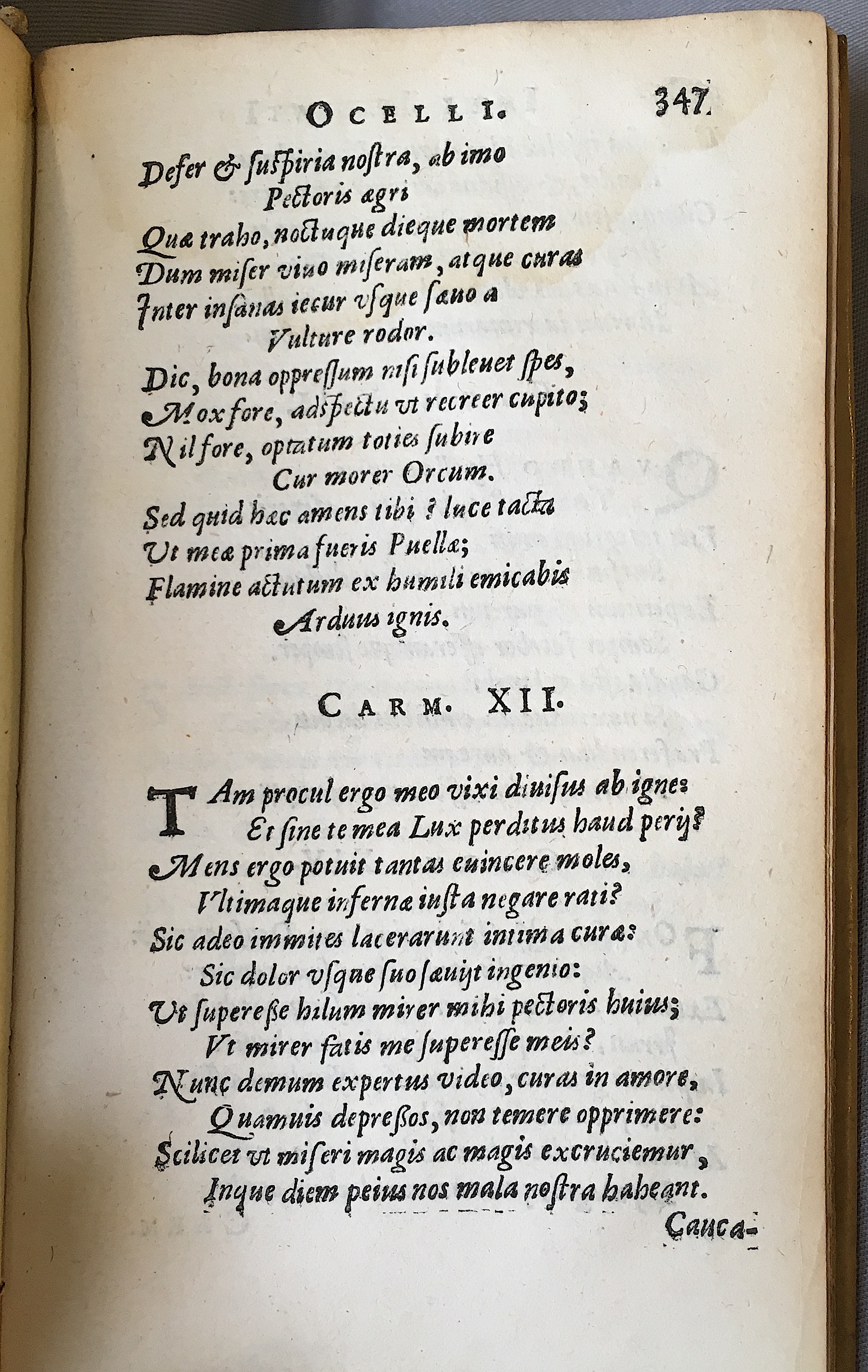 Lernutius1614p347.jpg