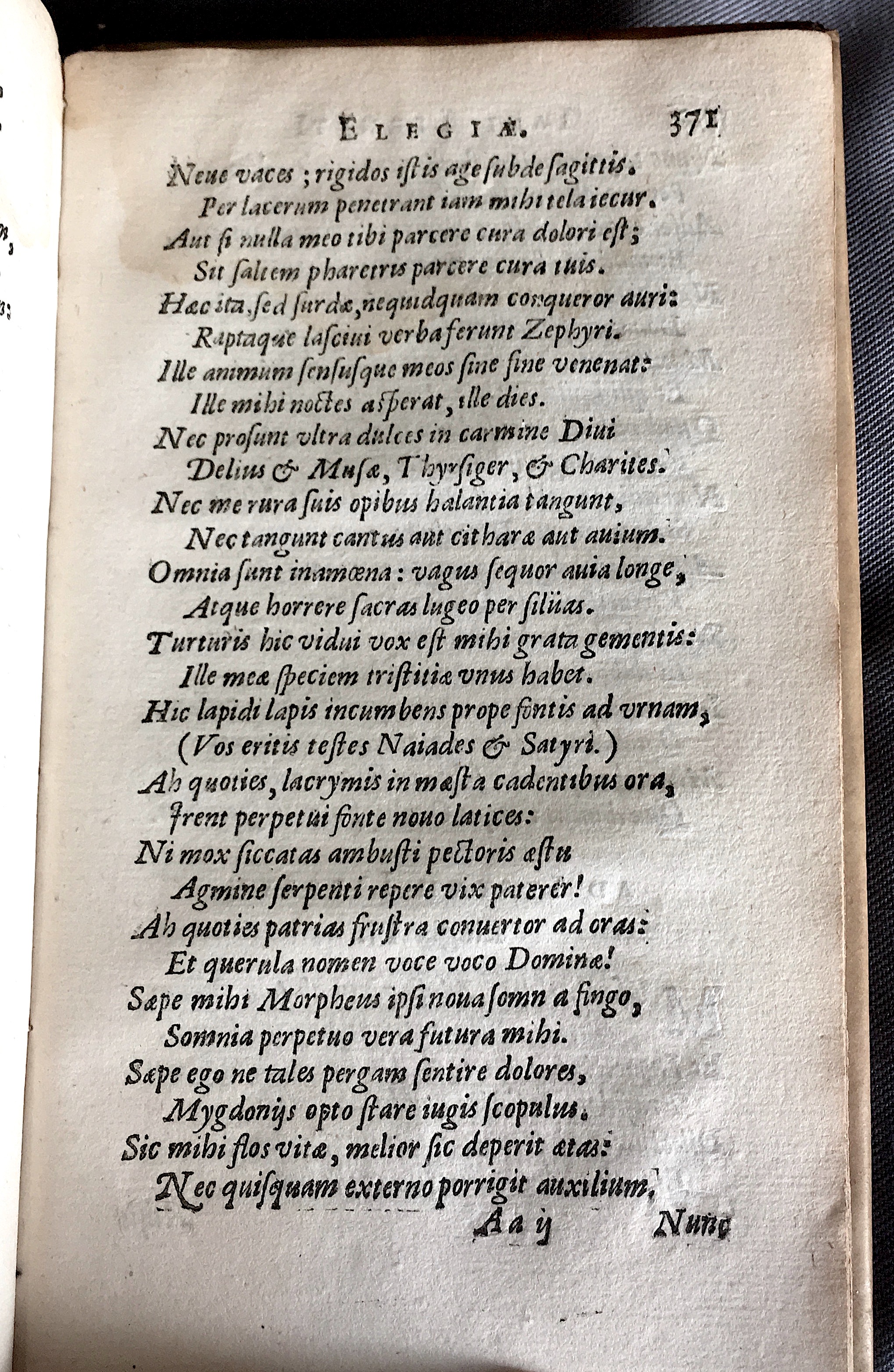 Lernutius1614p371.jpg