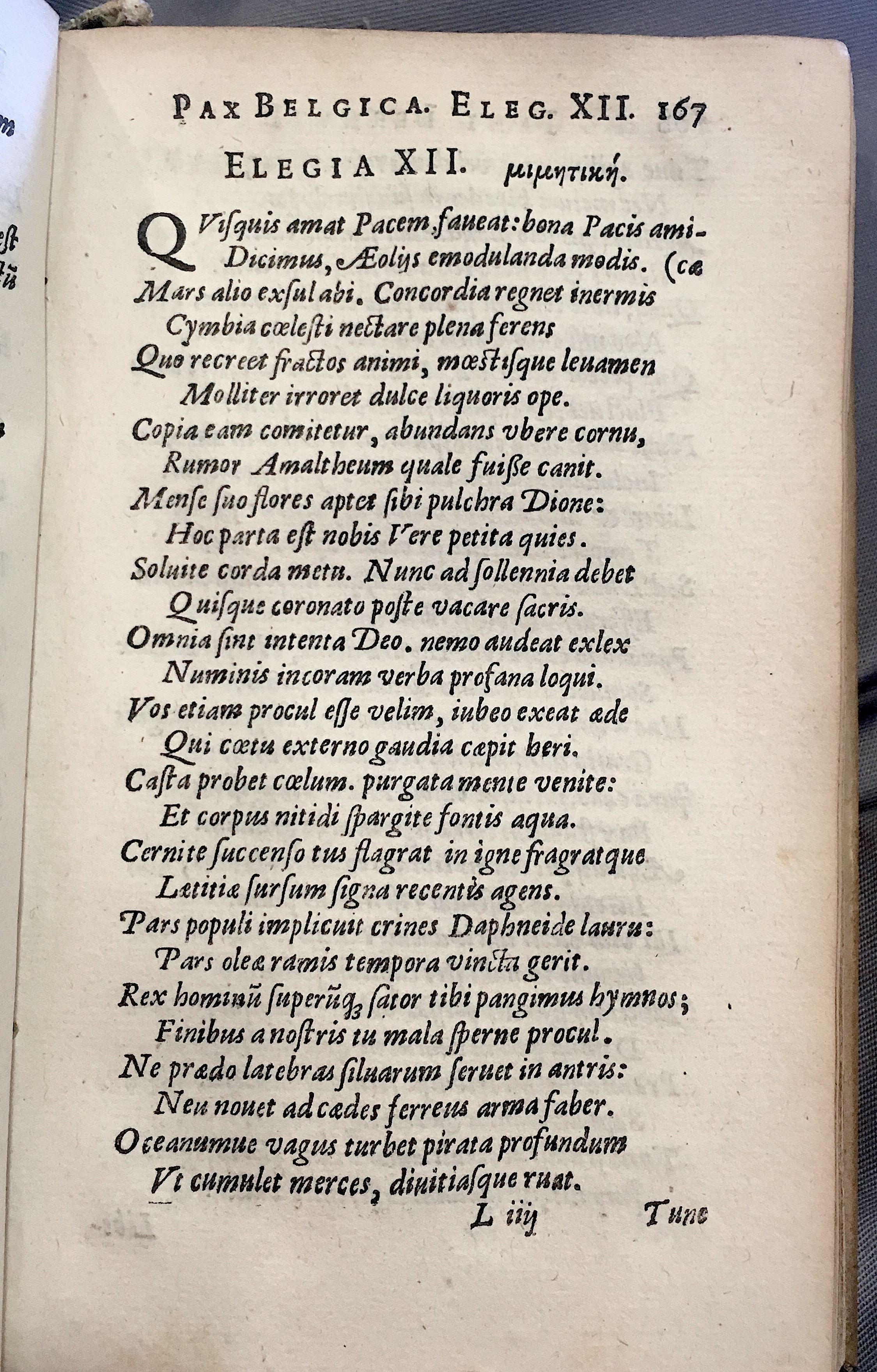 Lernutius1614p167