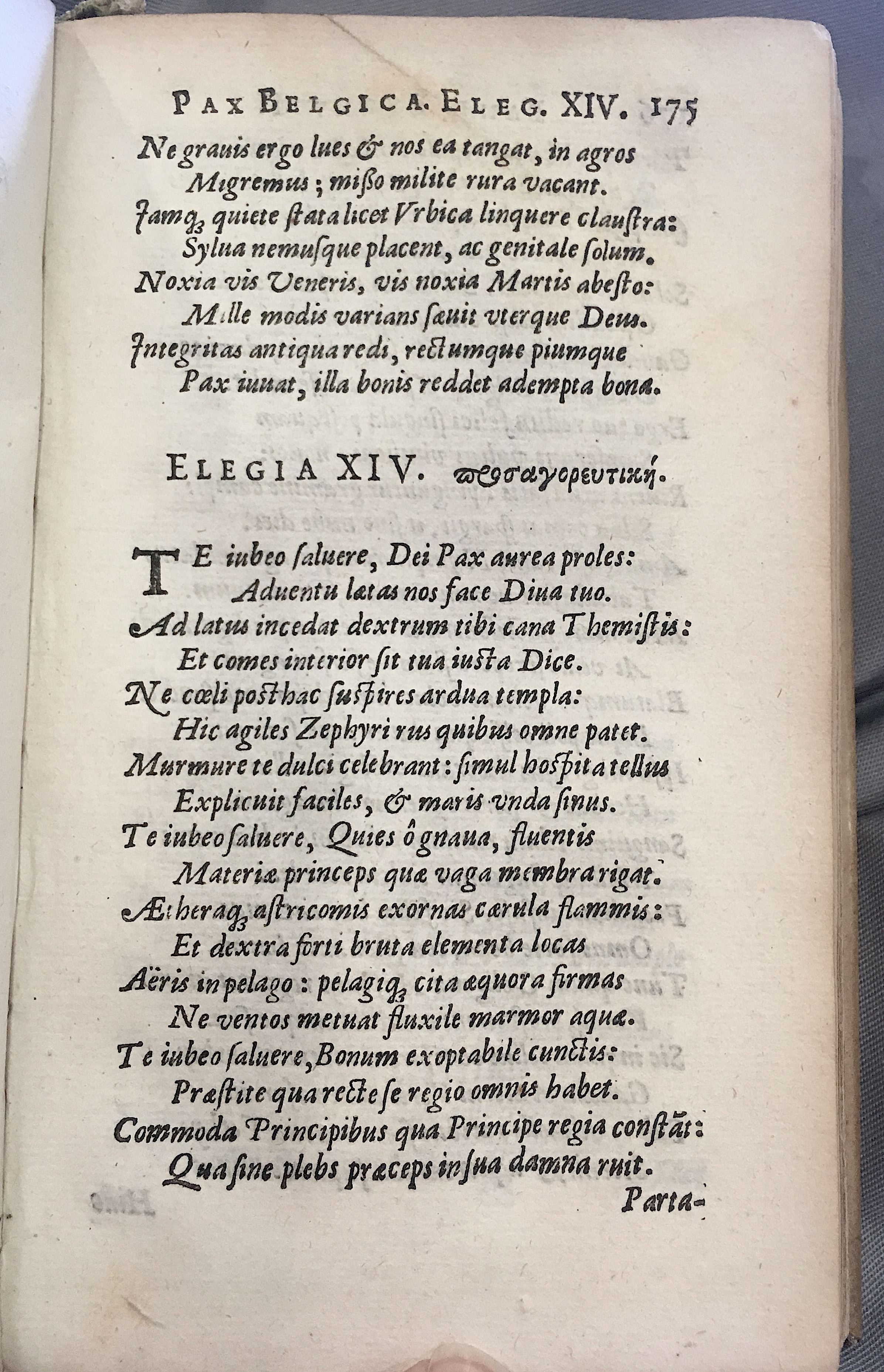 Lernutius1614p175