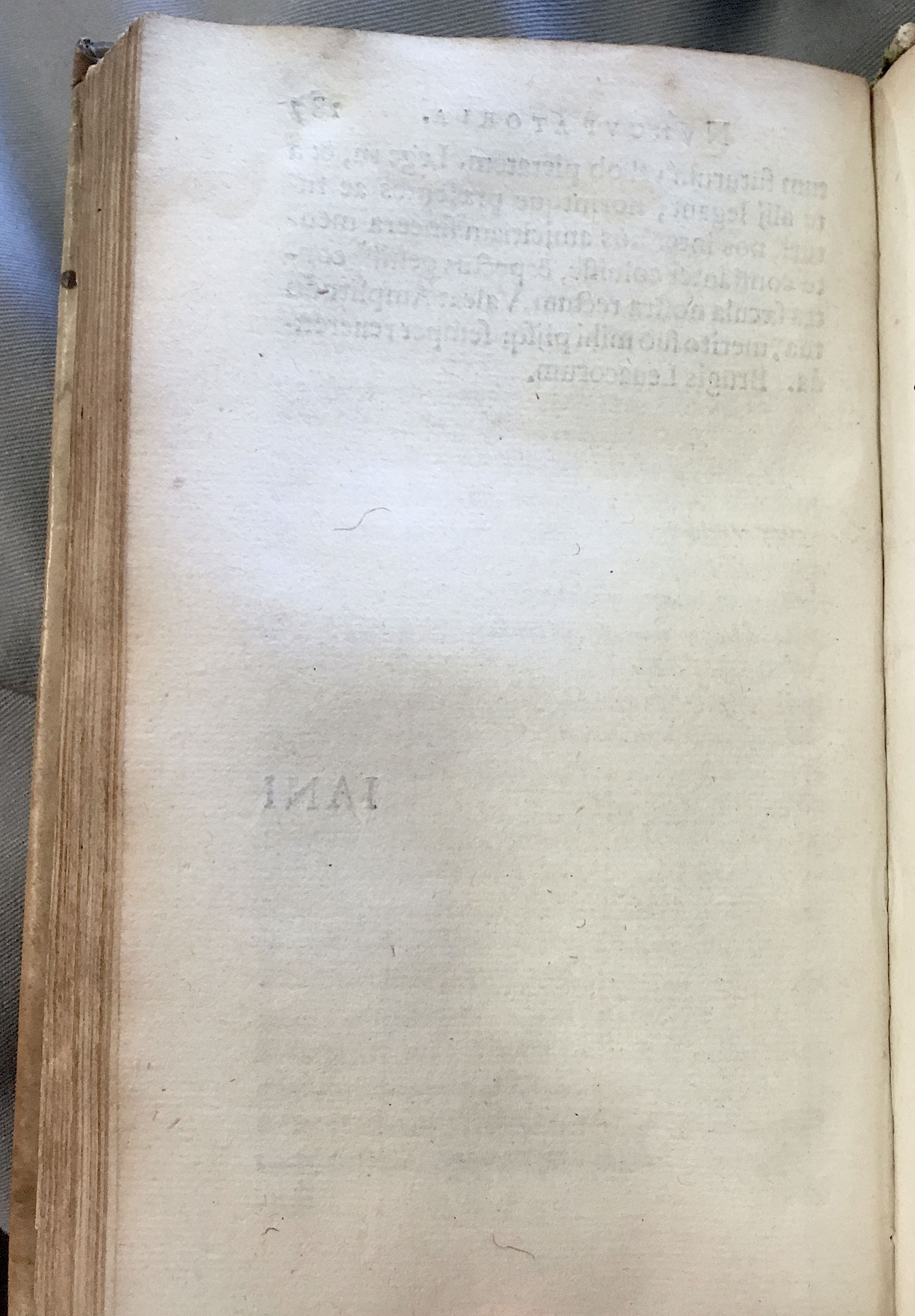 Lernutius1614p188