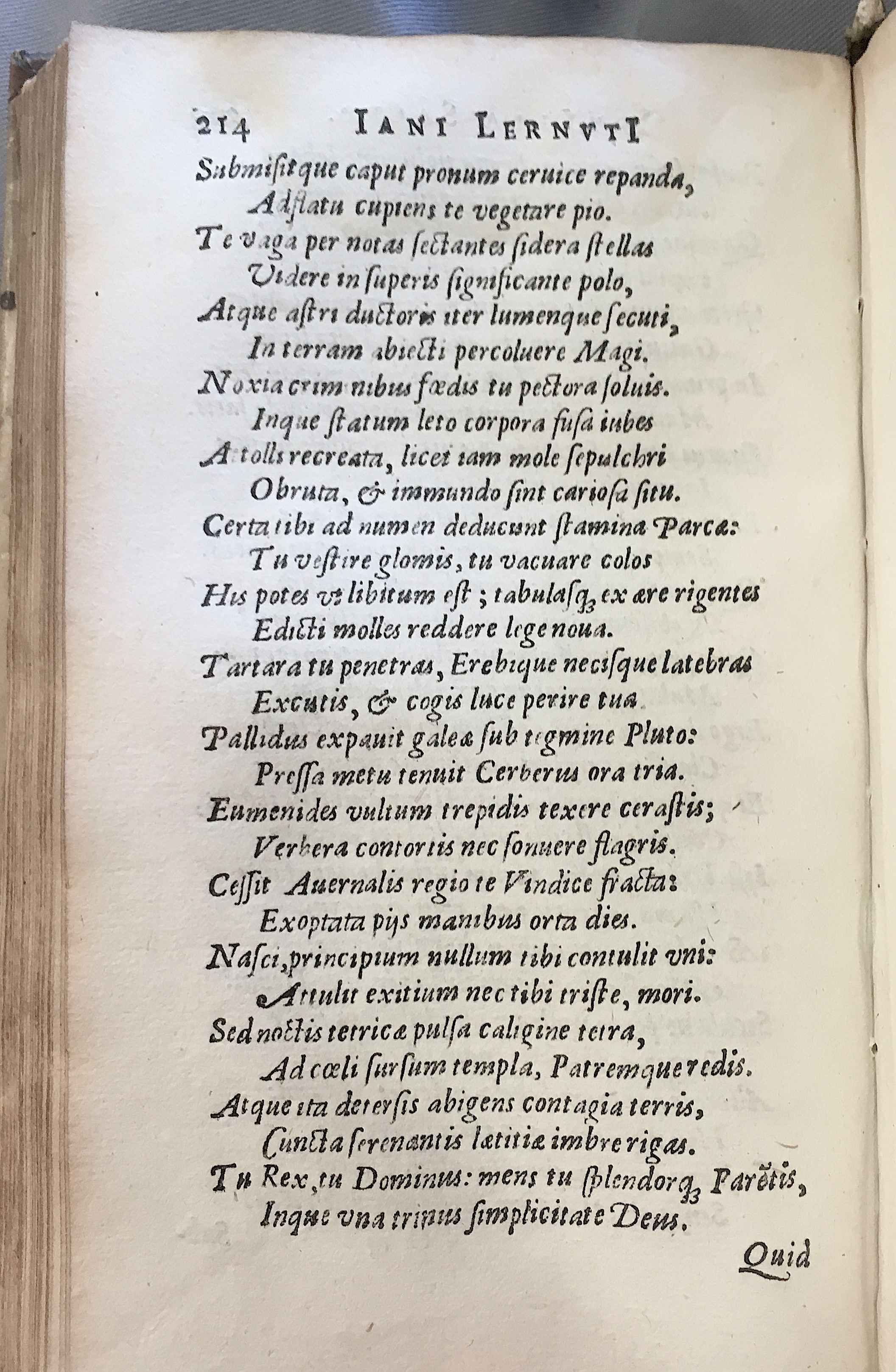 Lernutius1614p214