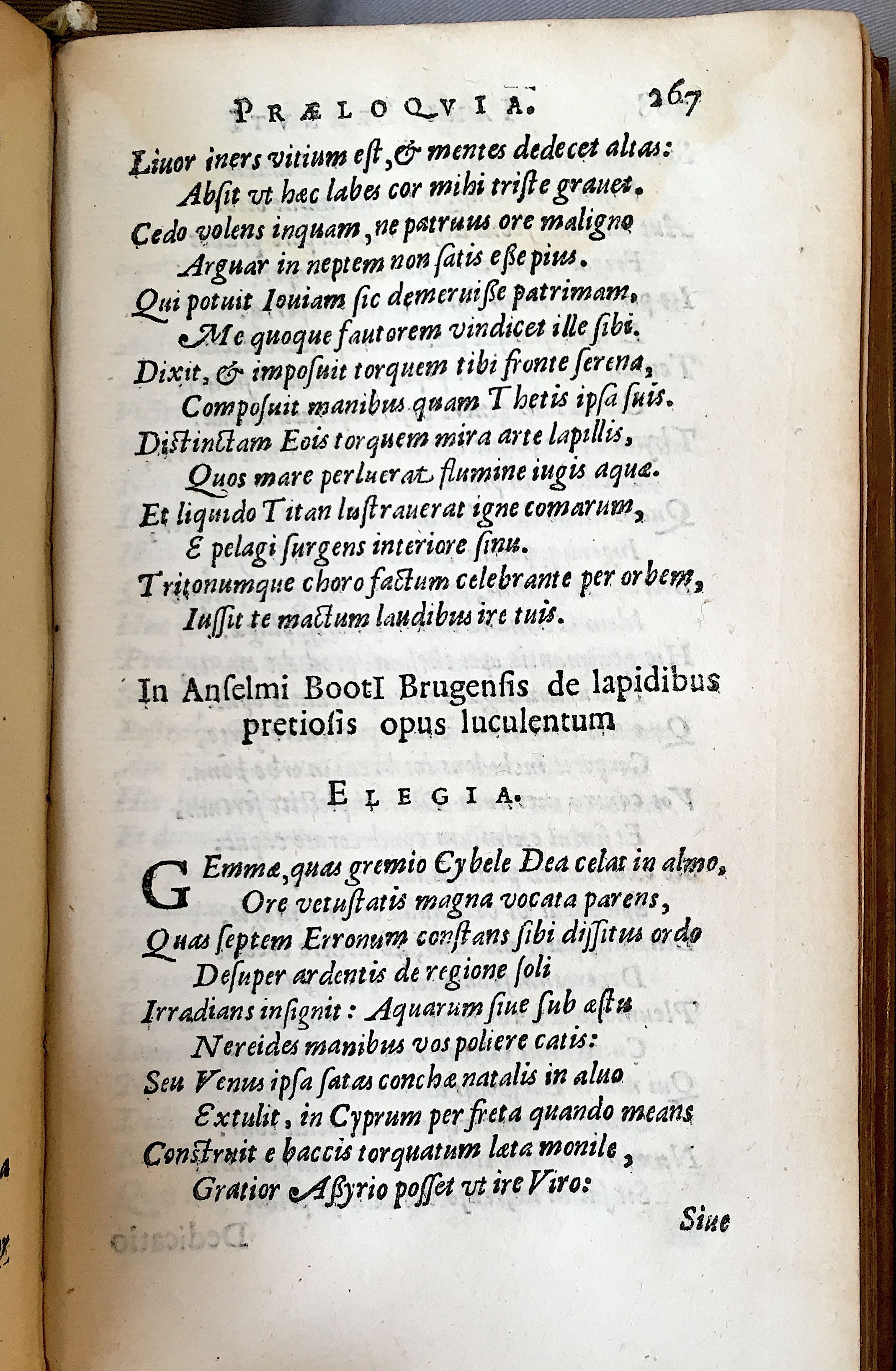 Lernutius1614p267