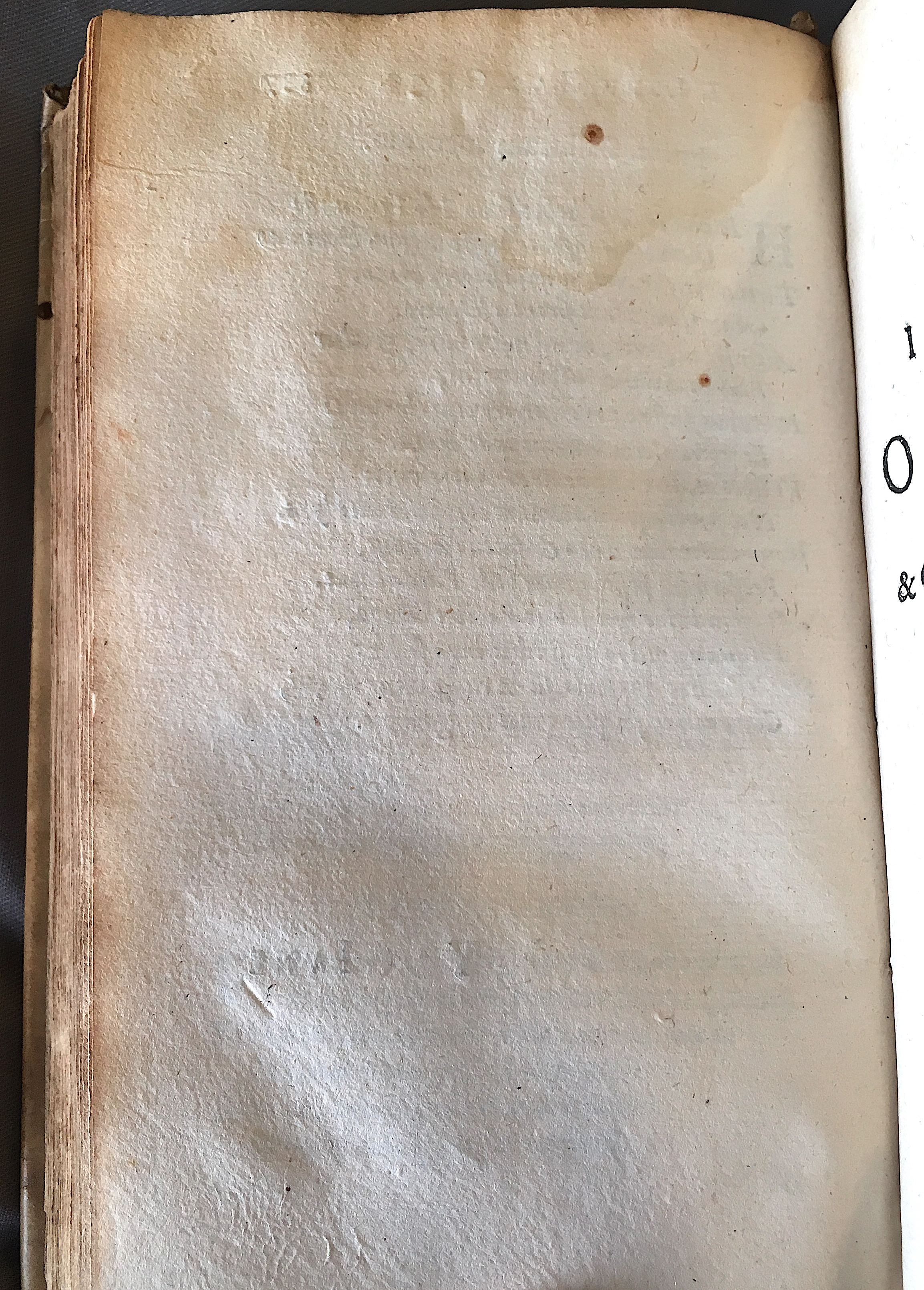 Lernutius1614p338