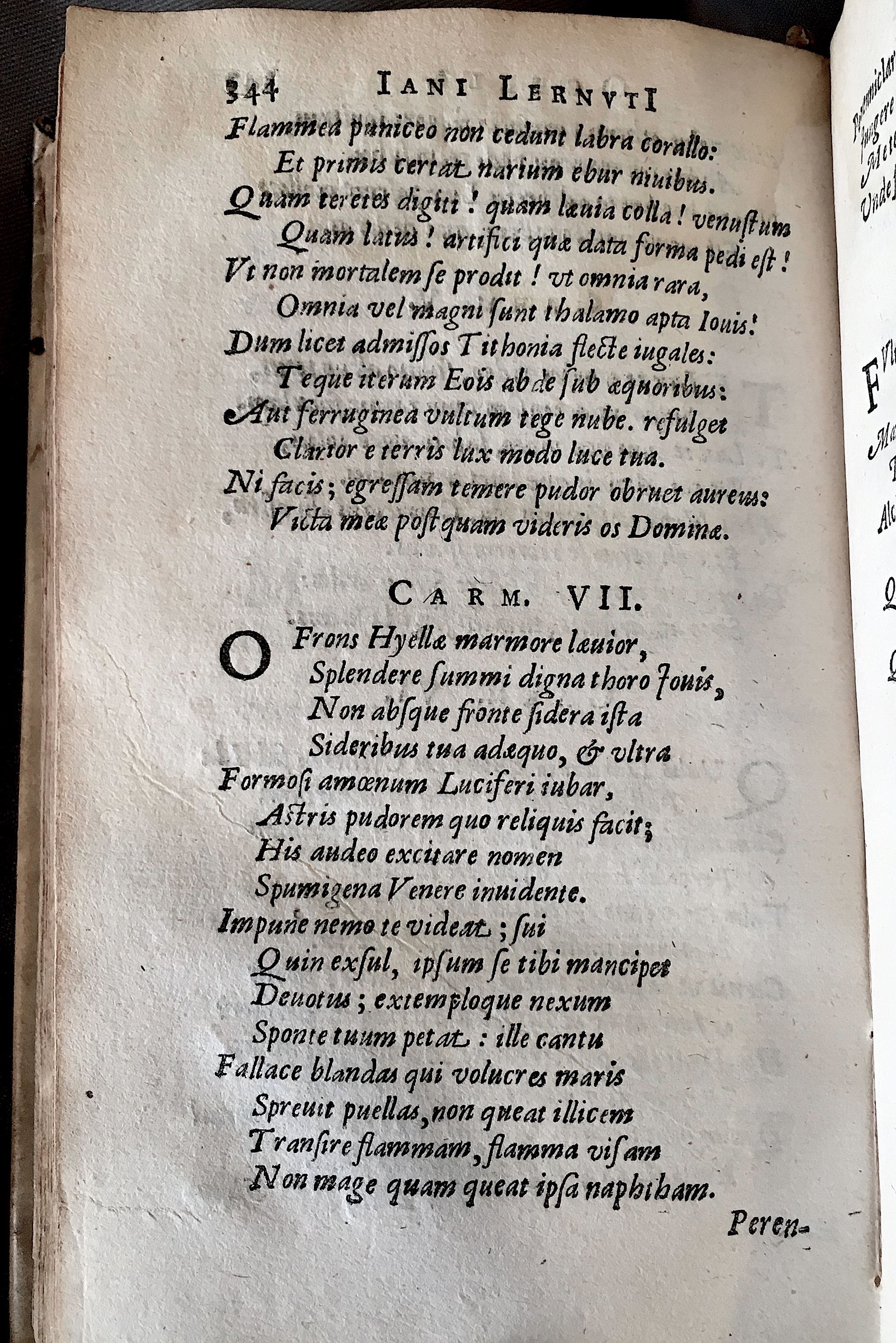 Lernutius1614p344