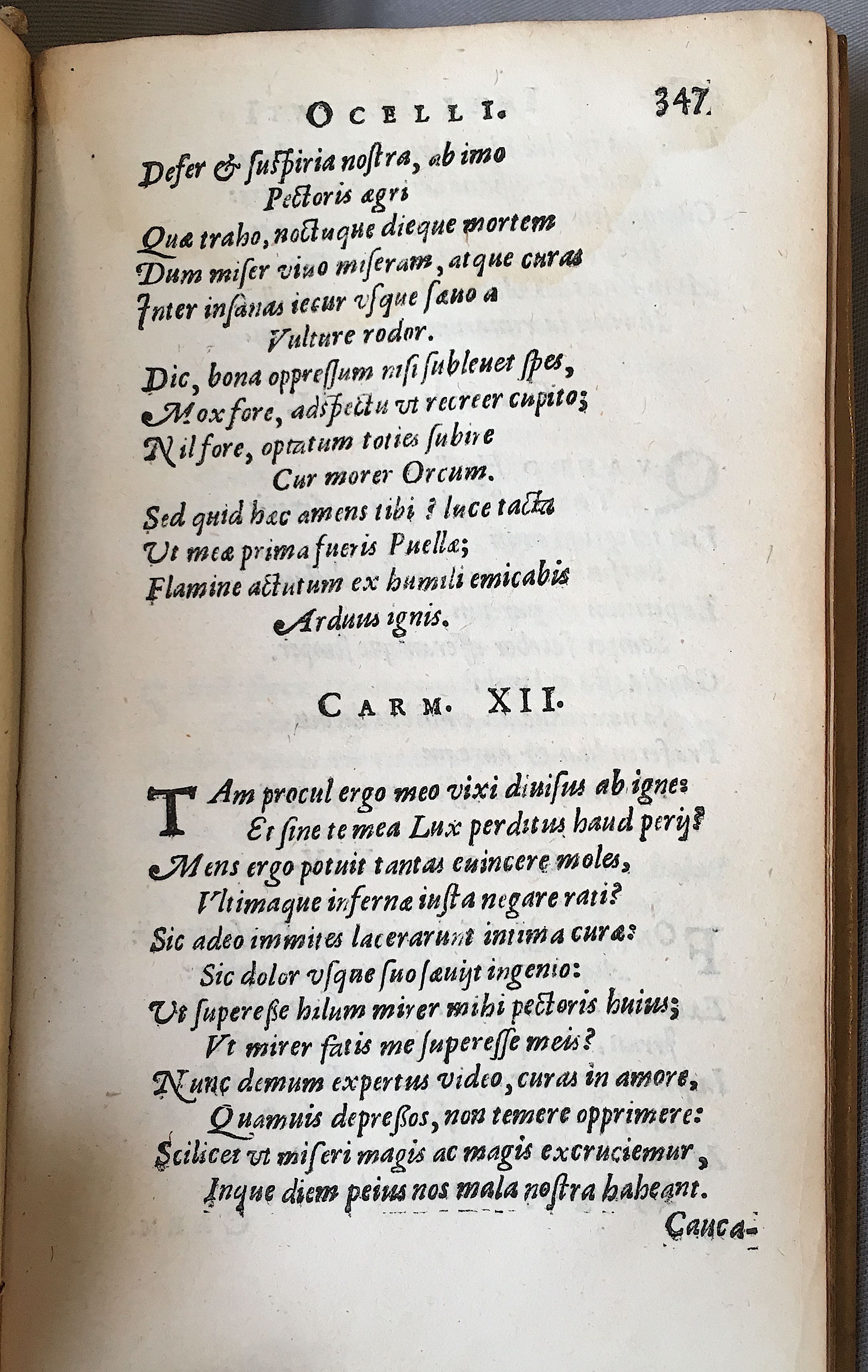 Lernutius1614p347