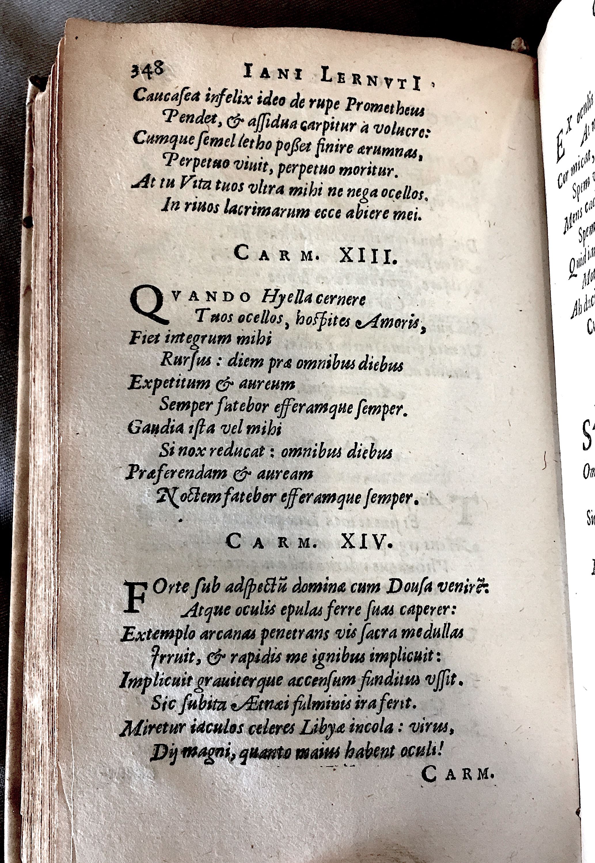 Lernutius1614p348