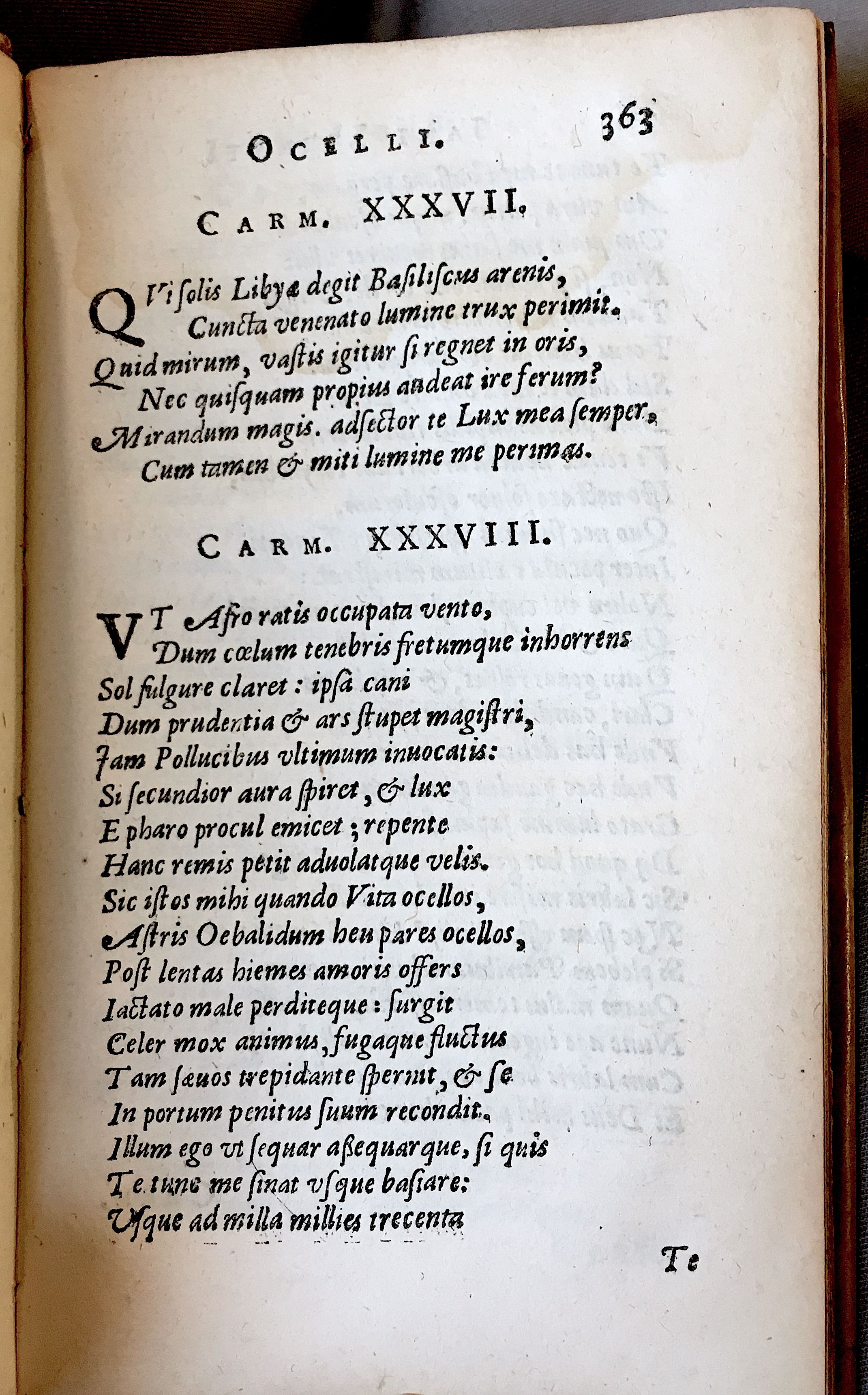 Lernutius1614p363