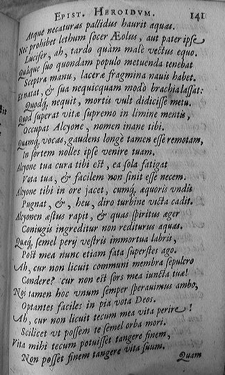 meursius1602p141