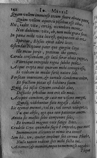 meursius1602p142