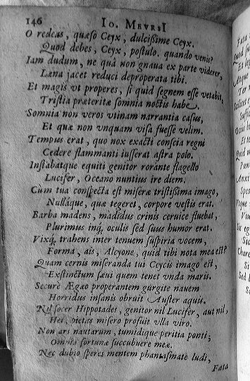 meursius1602p146