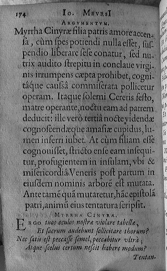 meursius1602p174