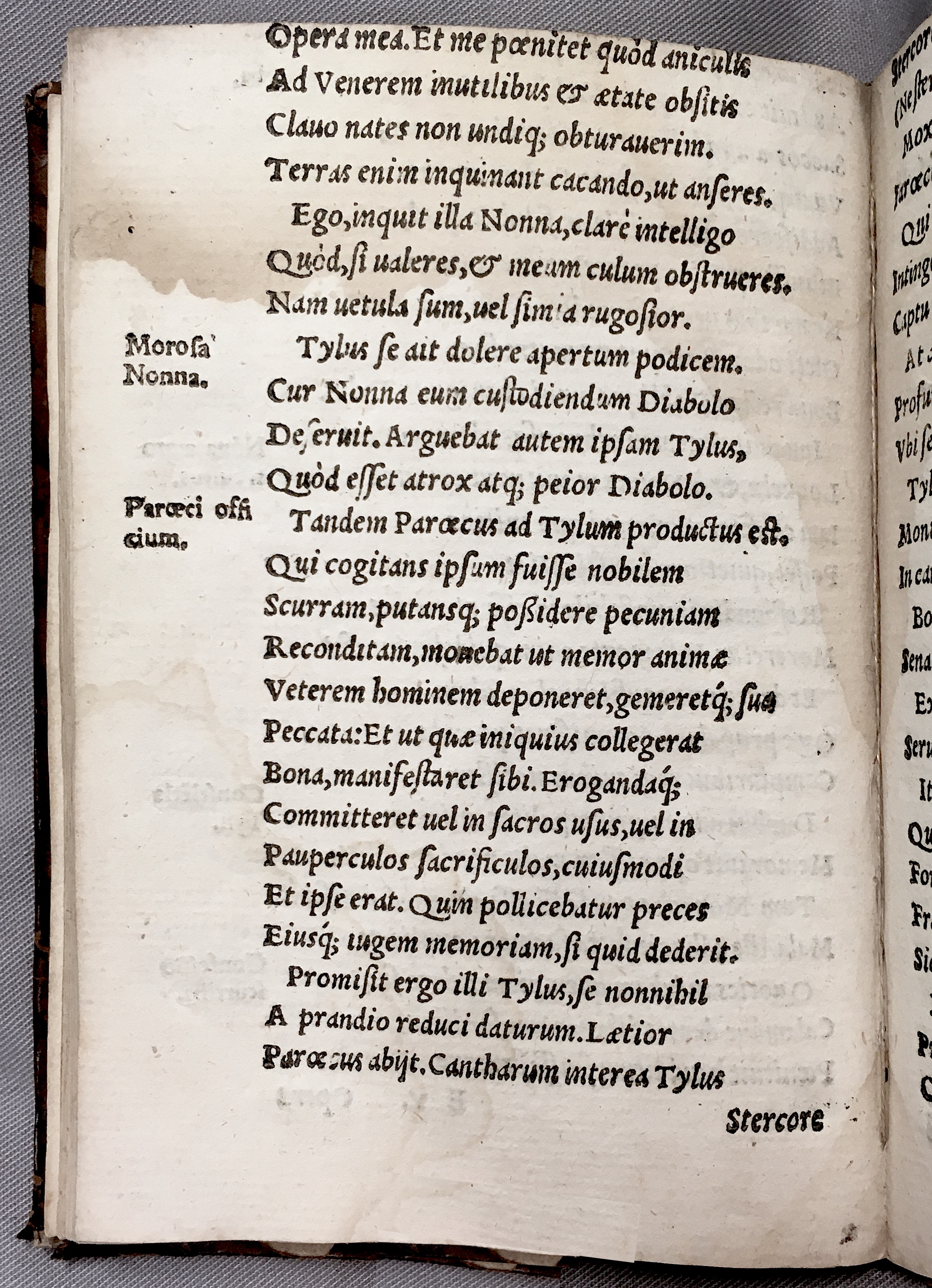 NemiusTylus1558p74.jpg