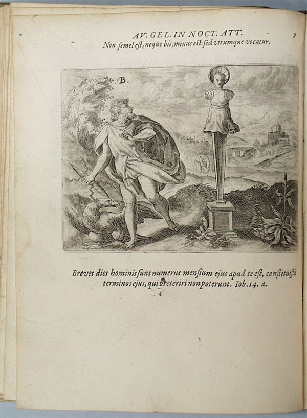 parvl018.jpg