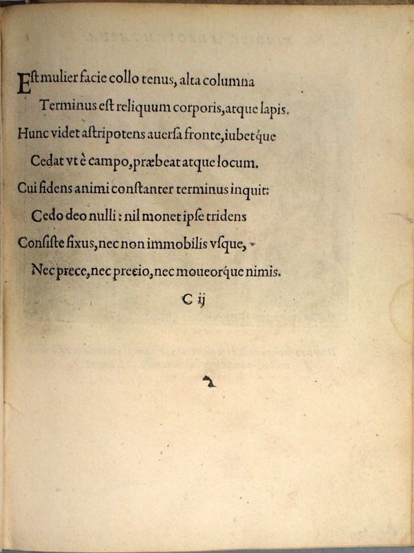 parvl019.jpg