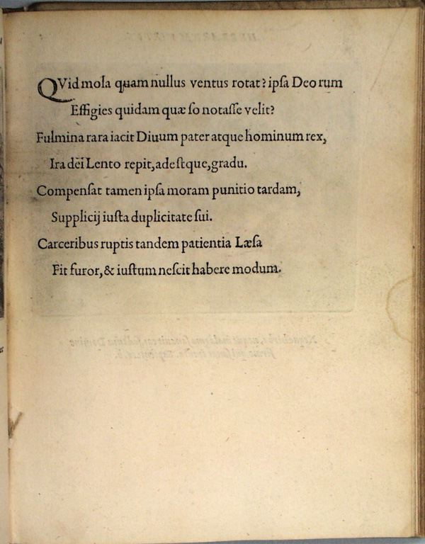 parvl021.jpg