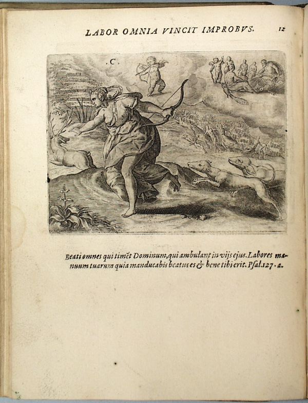parvl026.jpg