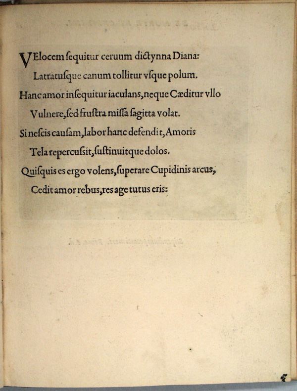 parvl027.jpg