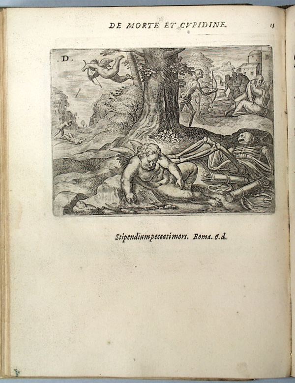 parvl028.jpg