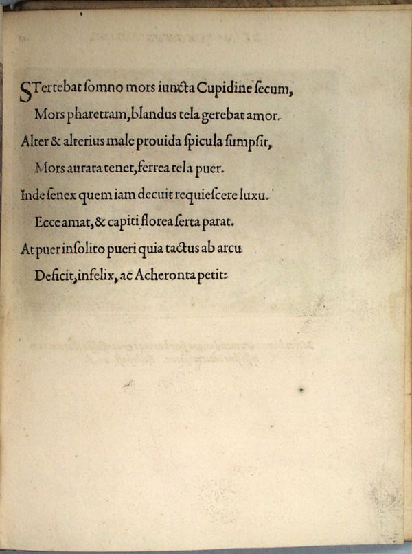 parvl029.jpg