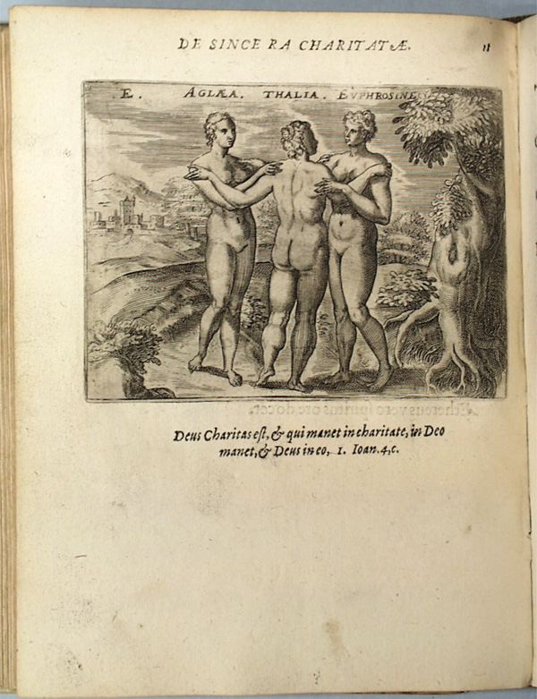 parvl038.jpg