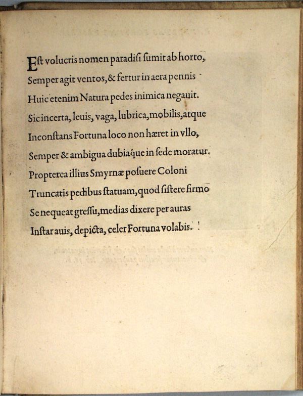 parvl045.jpg