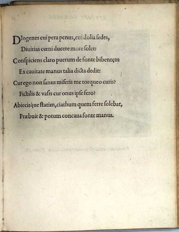 parvl078.jpg