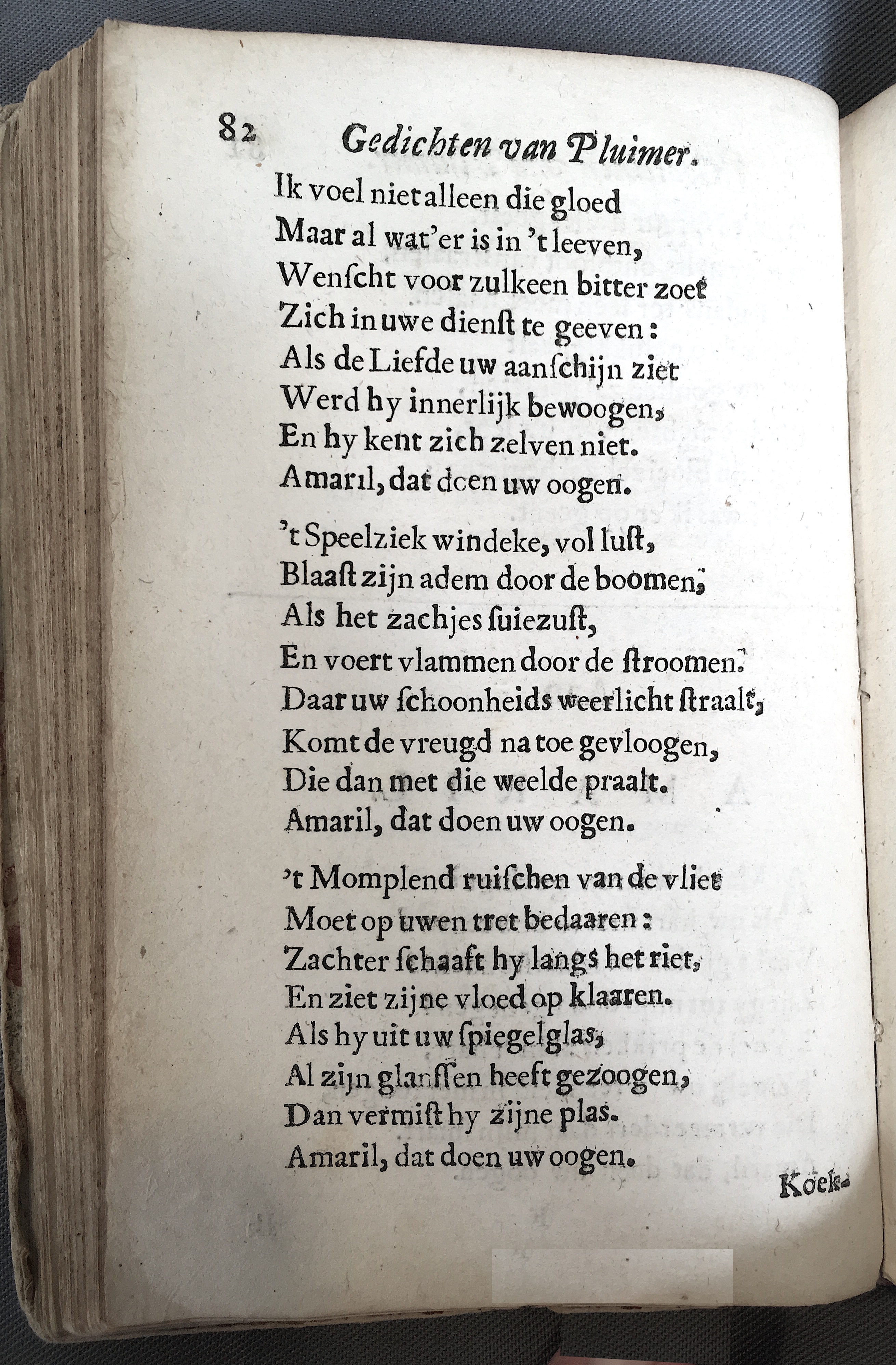 Broekhuizen_Pluimer1677p082.jpg
