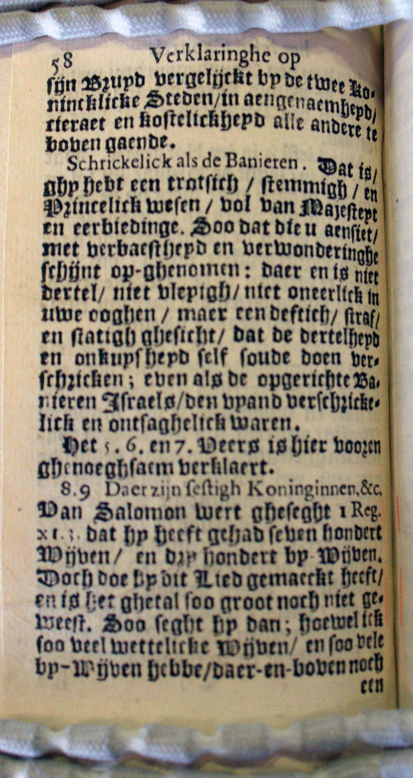 BruneSalomon58.jpg