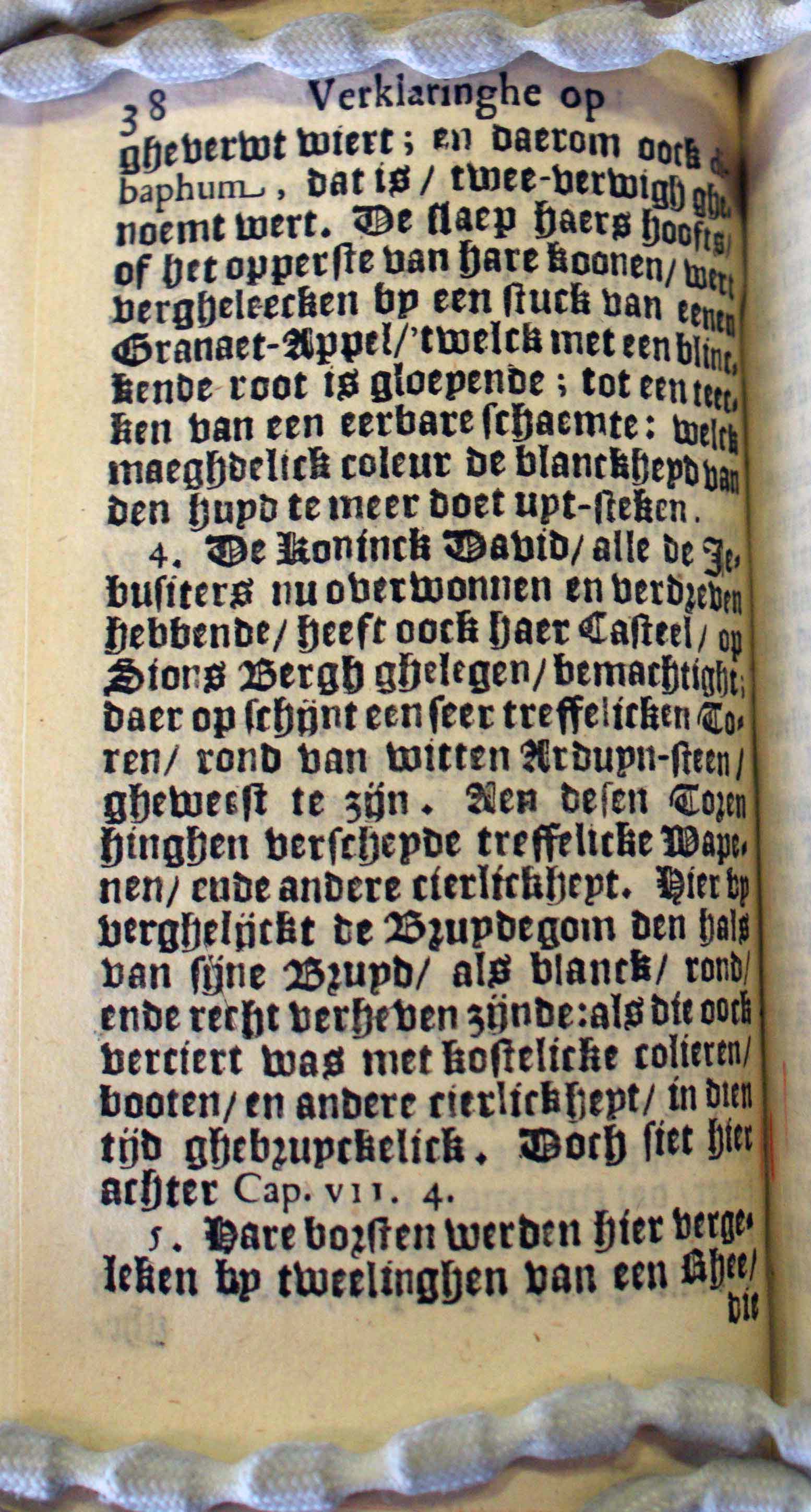 BruneSalomon38