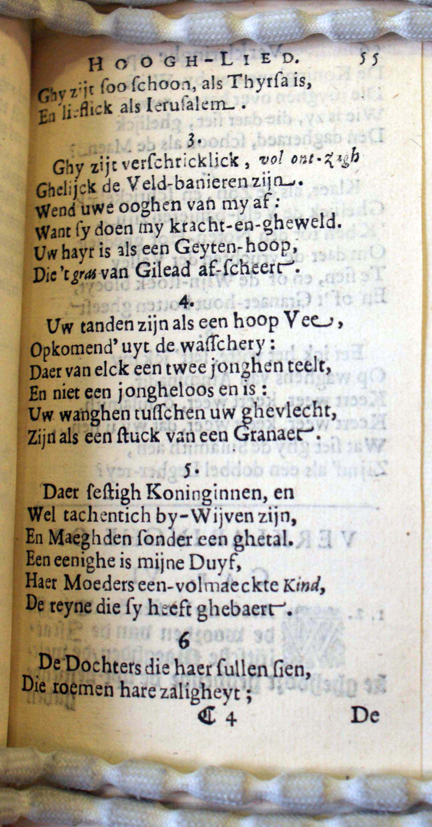 BruneSalomon55