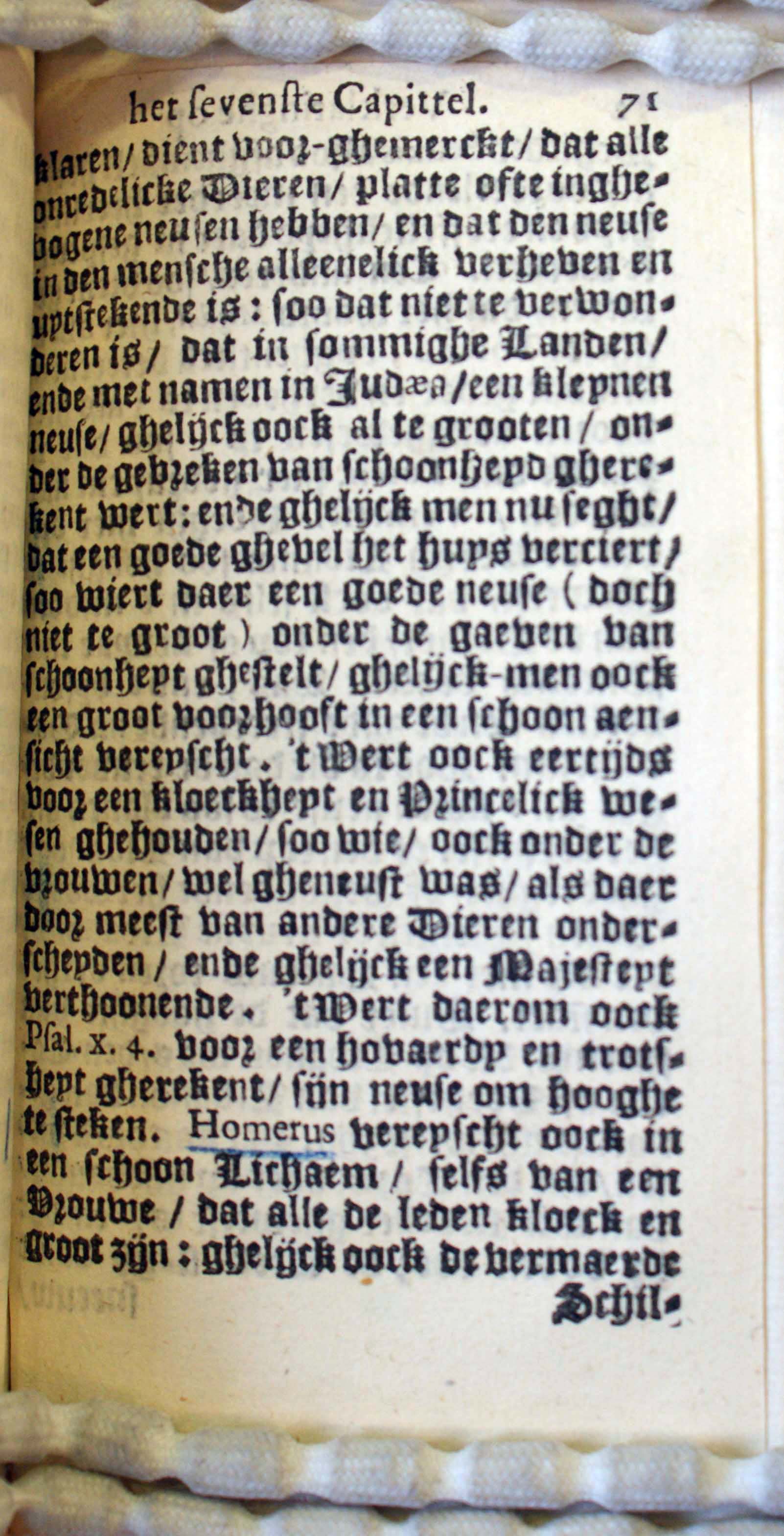 BruneSalomon71
