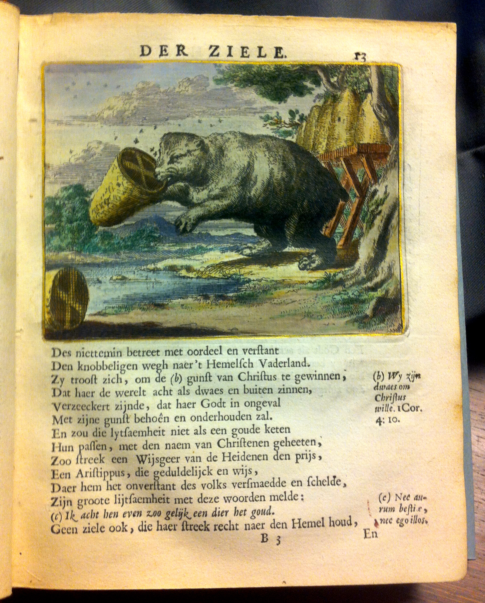 HoogstratenVoorhof1668p013.jpg