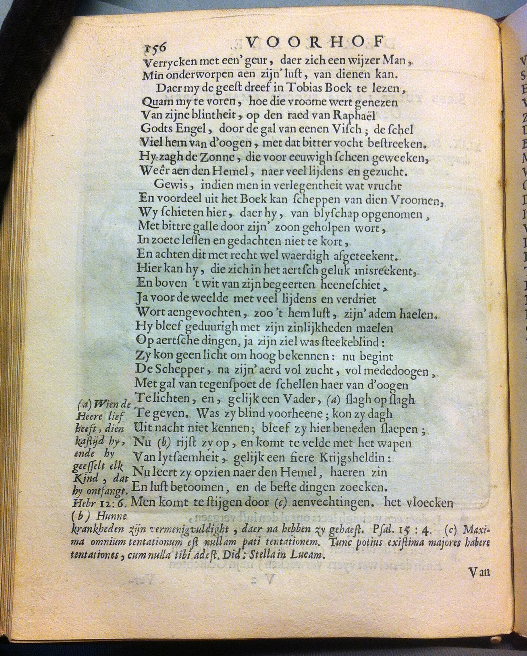 HoogstratenVoorhof1668p156.jpg