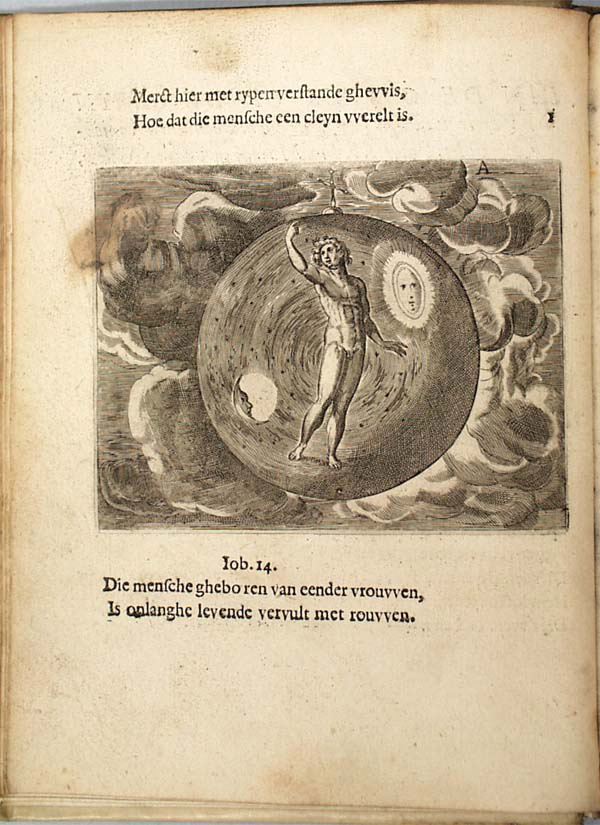 parvnl012.jpg