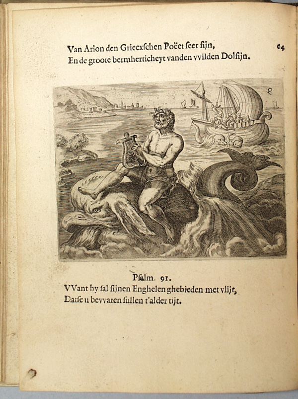 parvnl138.jpg
